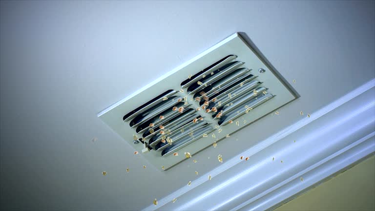 Best Commercial Air Duct Cleaning  in Elmore, AL
