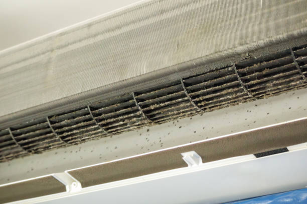 Best Best Air Duct Cleaning Company  in Elmore, AL